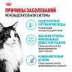 Сухой корм Royal Canin Urinary Care (УРИНАРИ КЭА) 400 гр